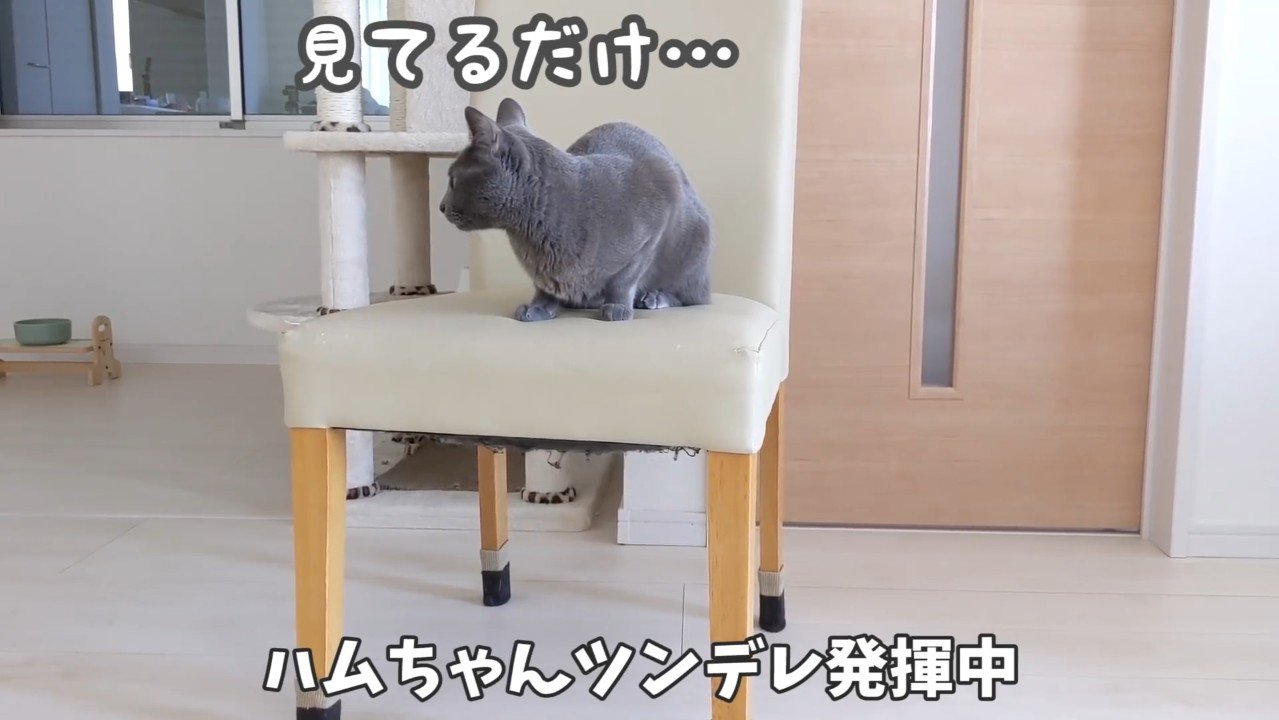 ツンデレ発動中