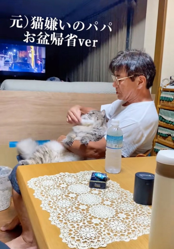 猫のブラッシング