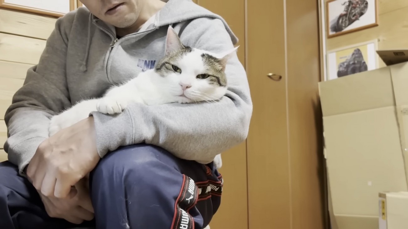 膝の上でくつろぐ猫の写真9