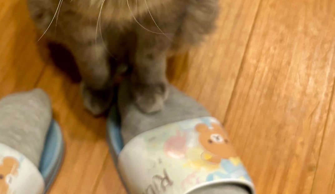 つま先に手を置く