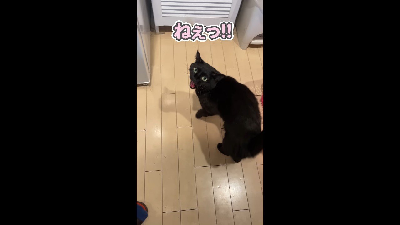 ねぇっ！！