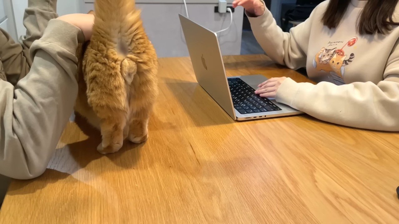 プリンくんの後ろ姿