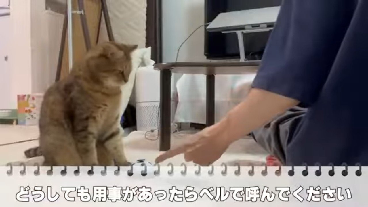 どうしても用事があったら