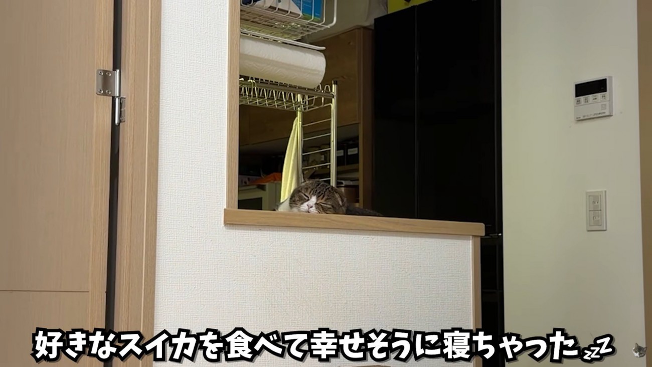テロップ「好きなスイカを～」