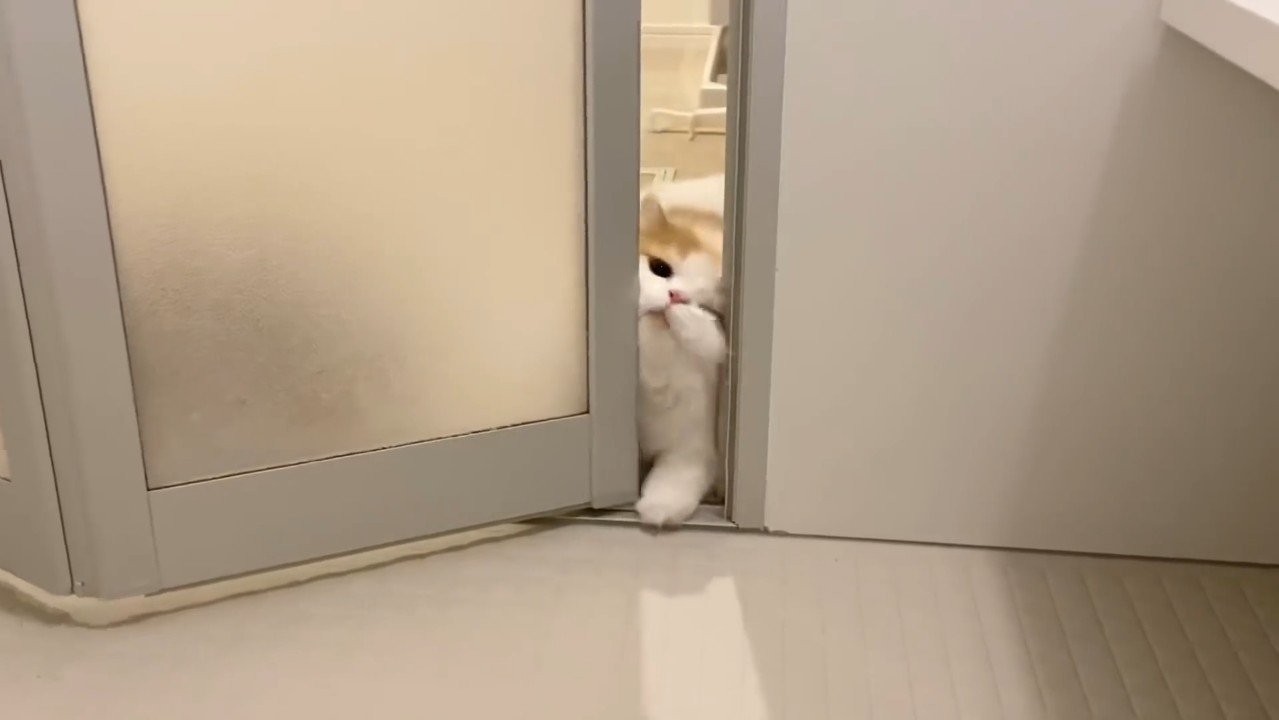 顔をねじ込み