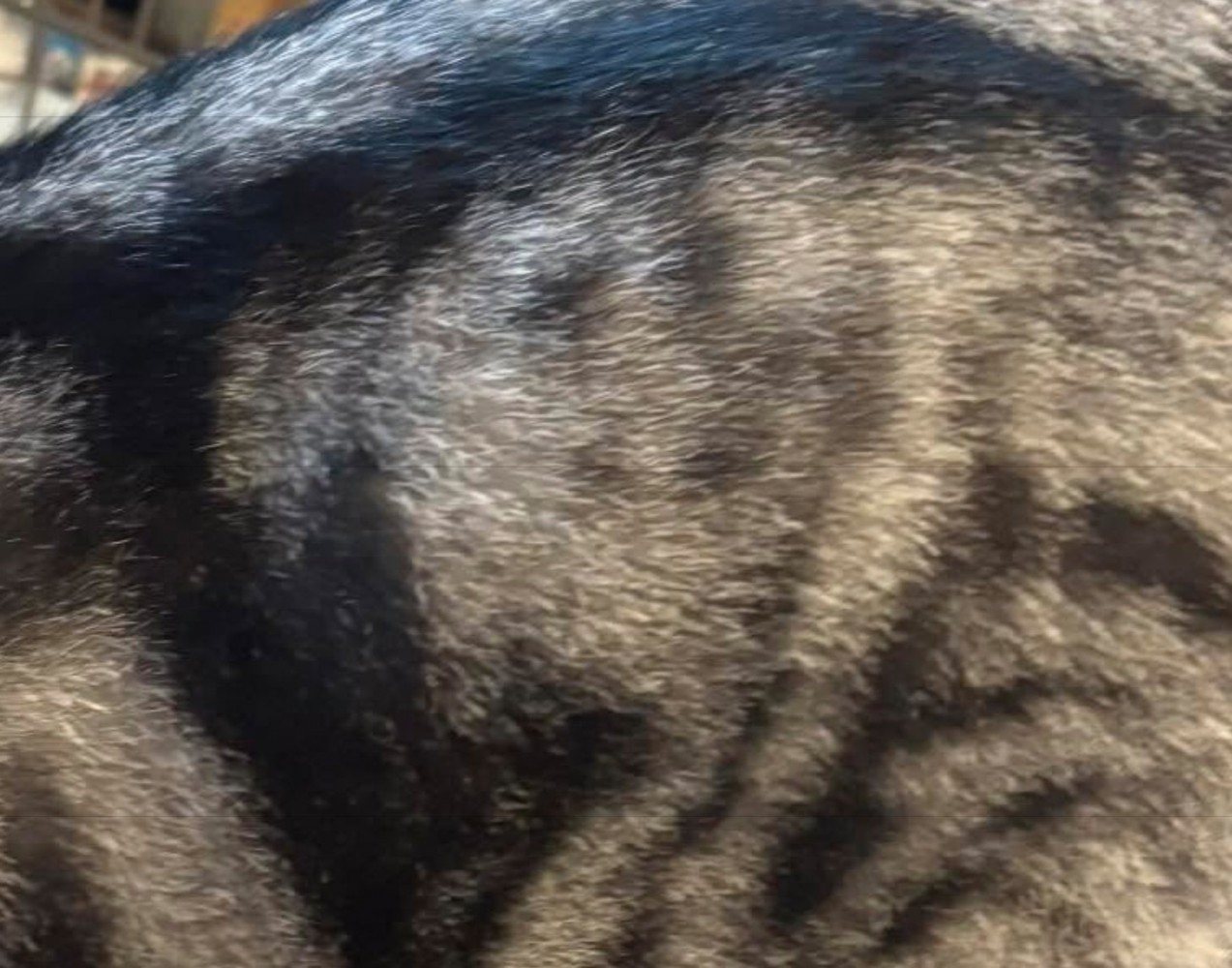 ニコちゃん模様