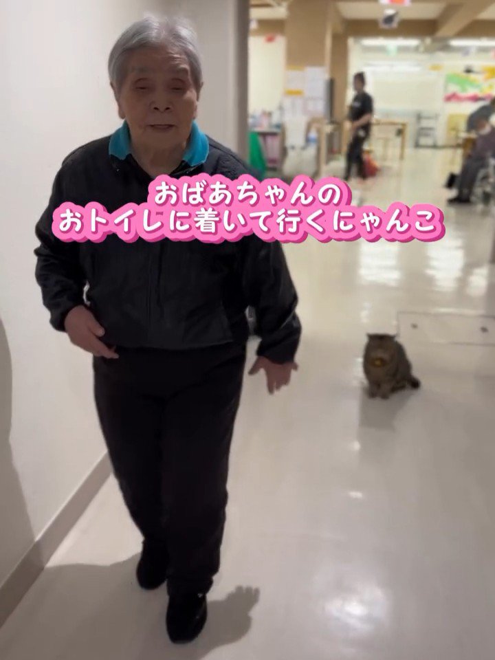 歩く人と座る猫
