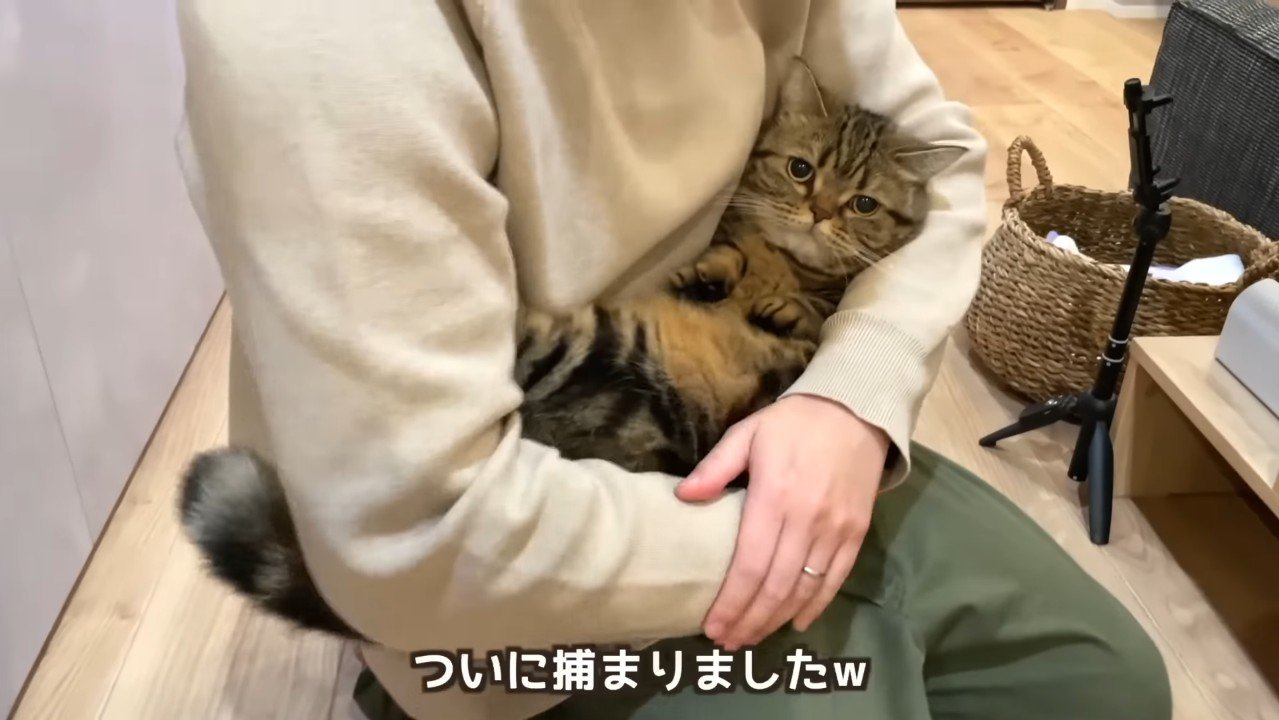 ついに捕まりました