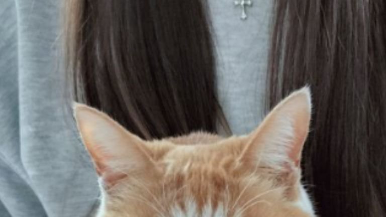 女性に抱かれている猫