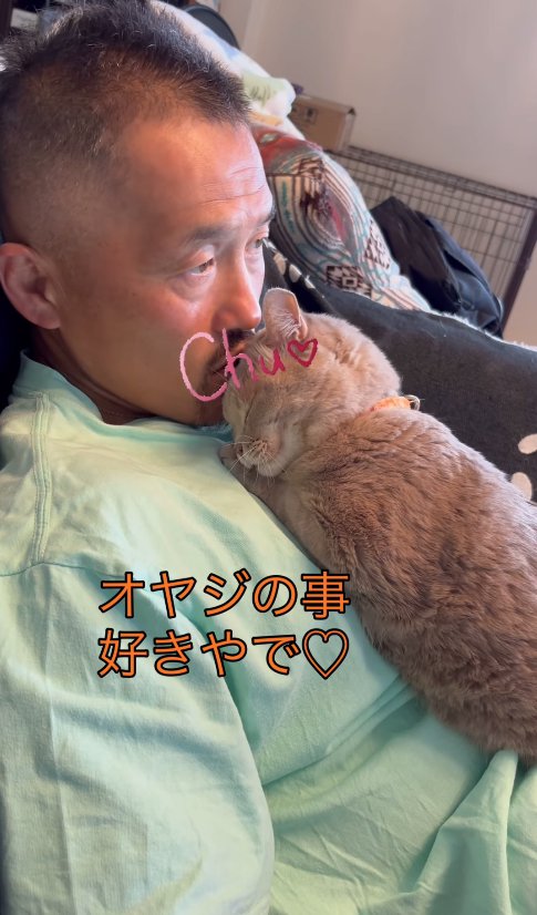 飼い主の上半身の上で伏せをしてキスをされている猫