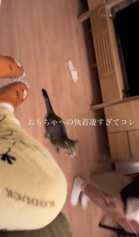 「おもちゃへの執着凄すぎてコレ」のテロップ写真1