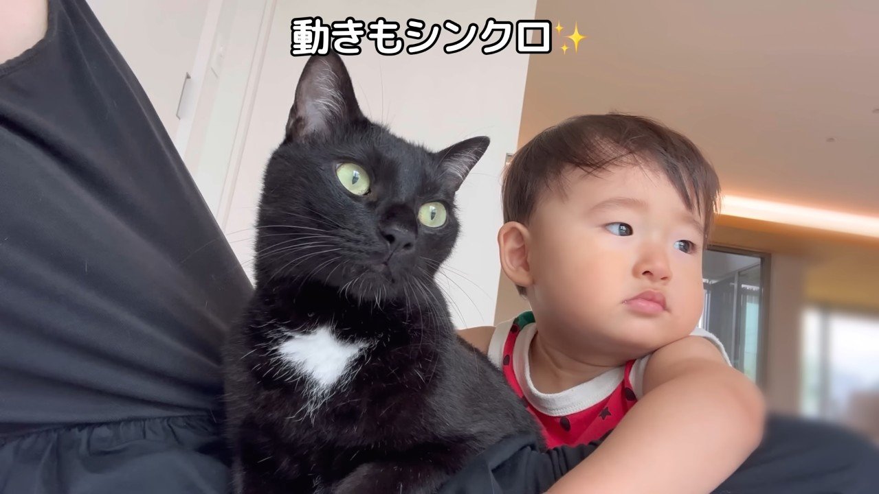 動きもシンクロ