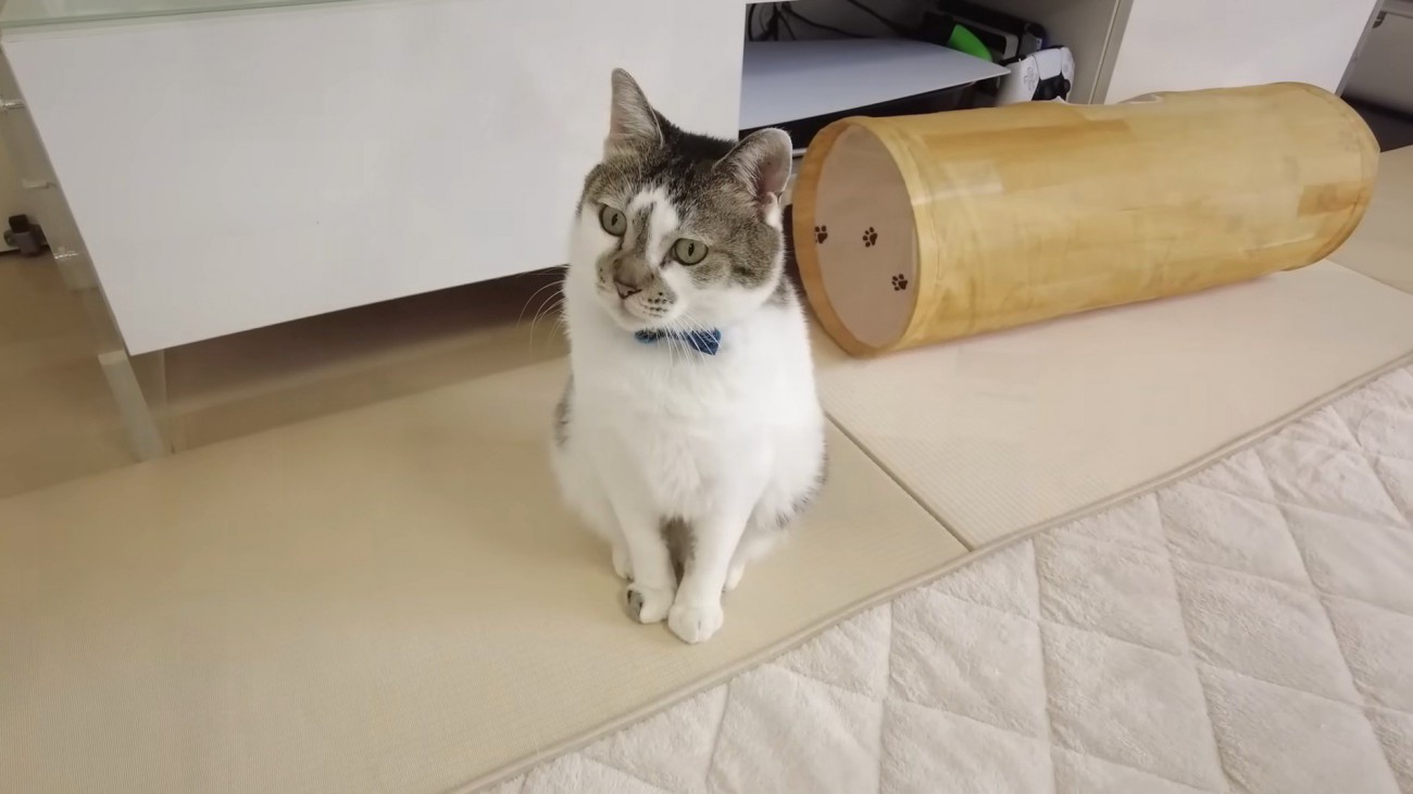 ささみくんの紹介