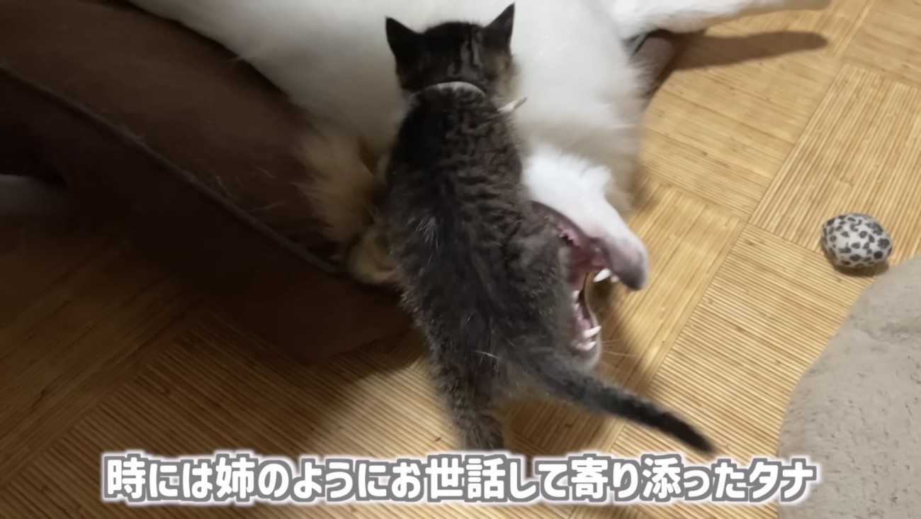 「時には...」のテロップ写真