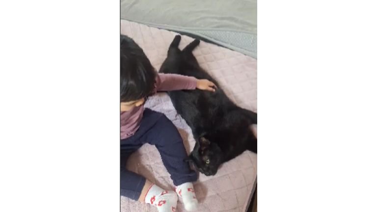 女の子と黒猫