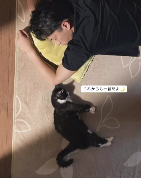 一緒に寝る男性と猫
