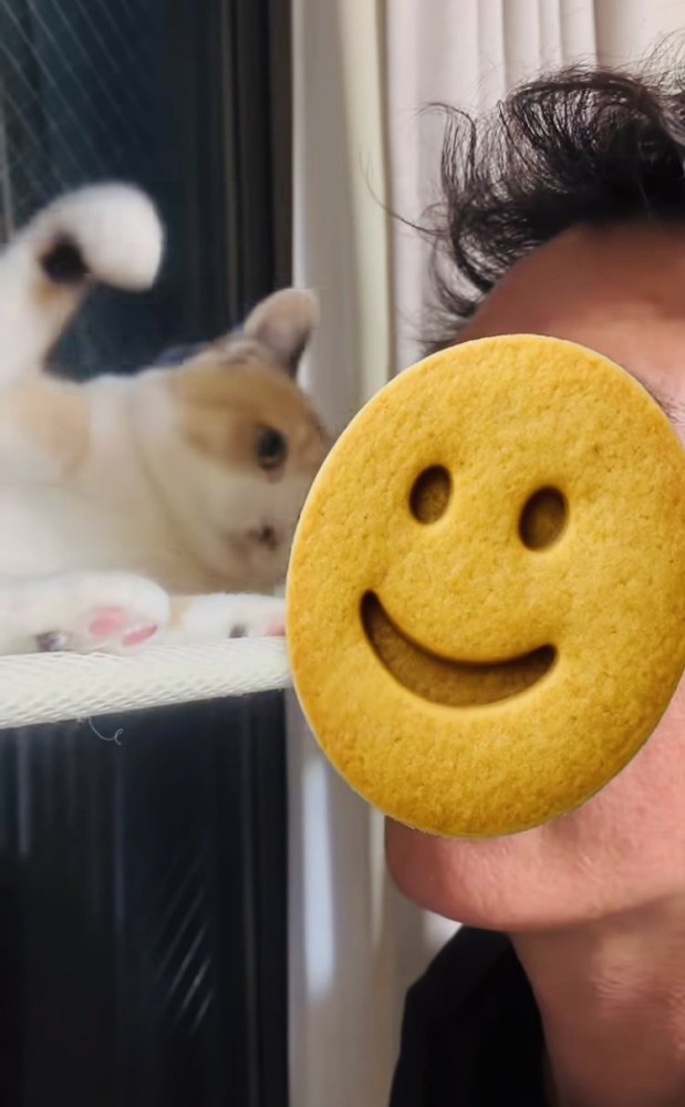 弟に向かって手を振り上げる三毛猫