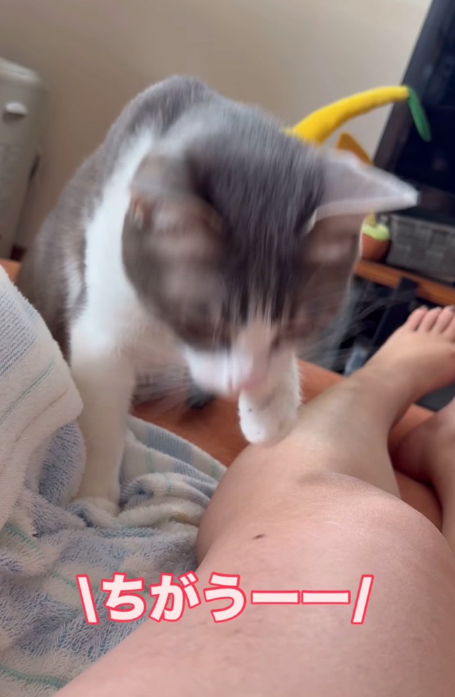 思わず笑ってしまうママさん