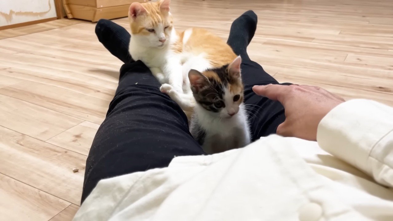 同じ方向を見るふたり