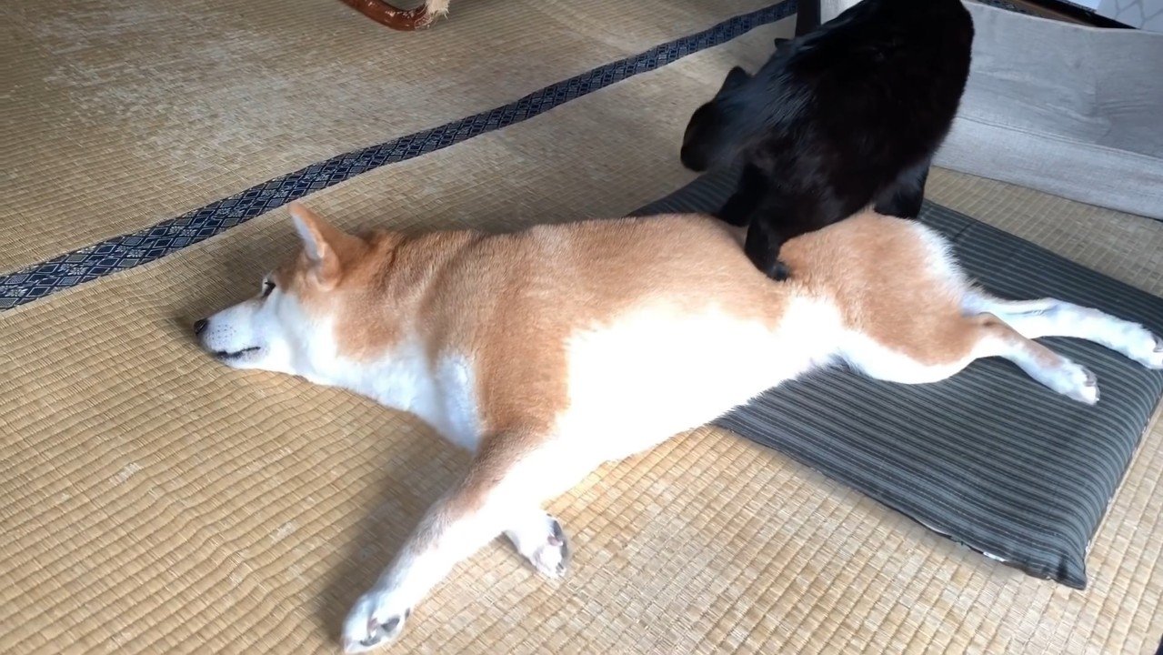 踏みつけ