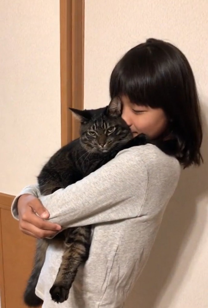 ベッドの近くにいる2匹の柴犬