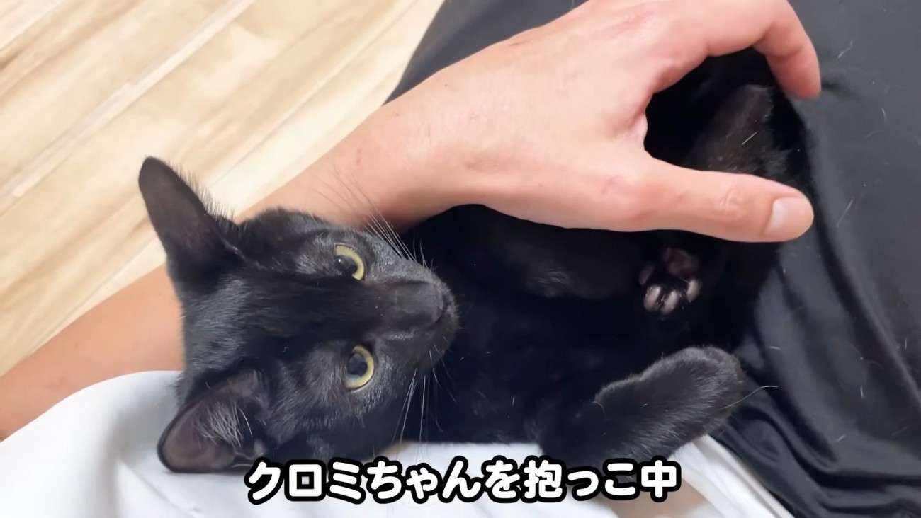 お膝のクロミちゃん