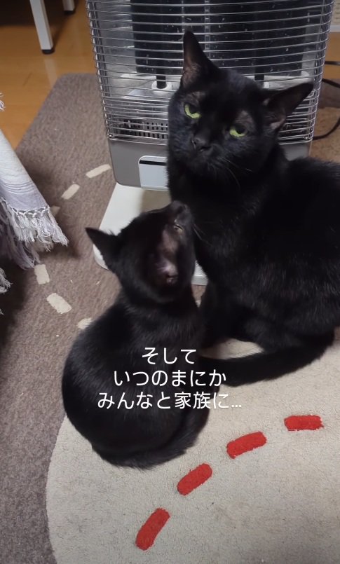 ストーブ前