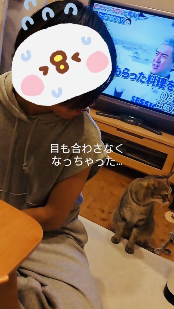 姪から後ずさりで離れるキジトラ猫