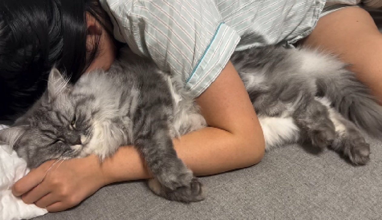 一緒に眠る猫