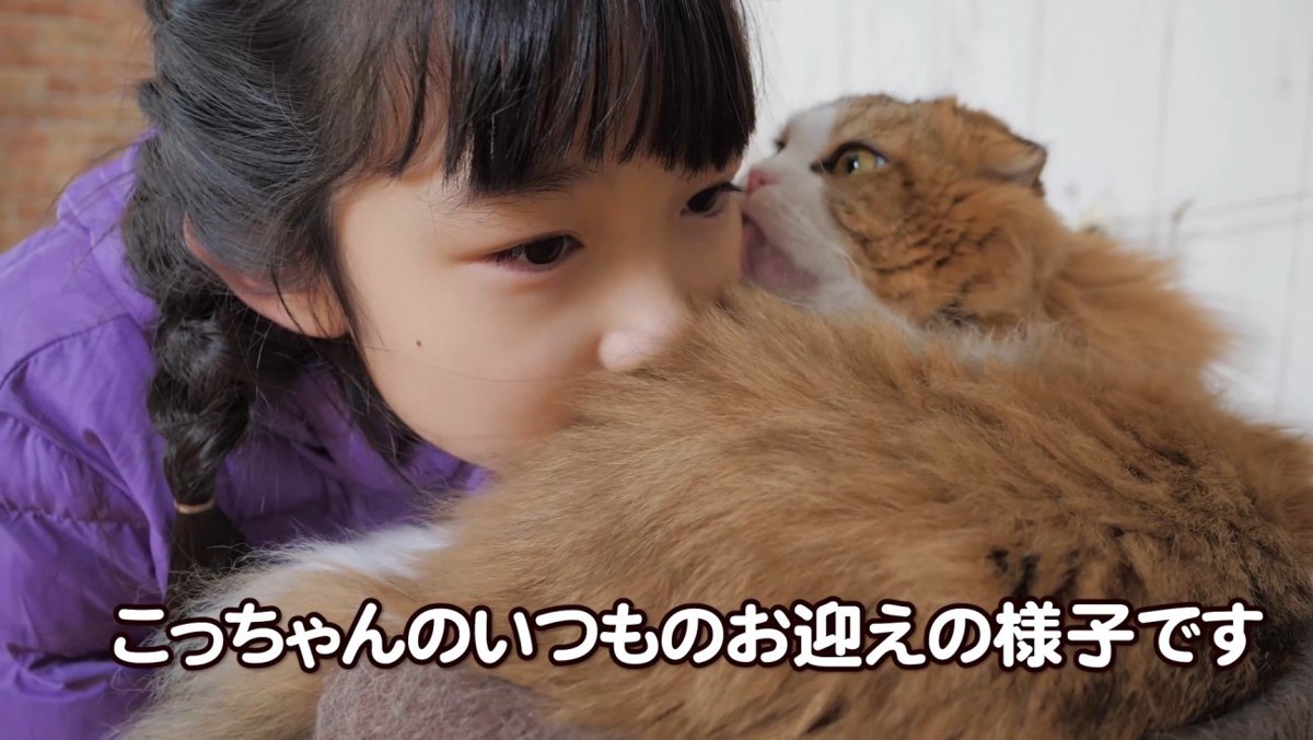 女の子に匂いを嗅ぐ猫