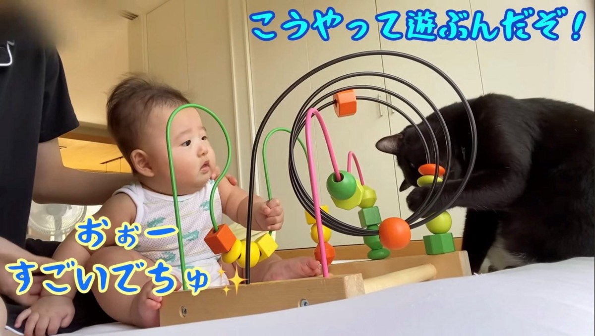 おもちゃで遊ぶ猫を見ている赤ちゃん