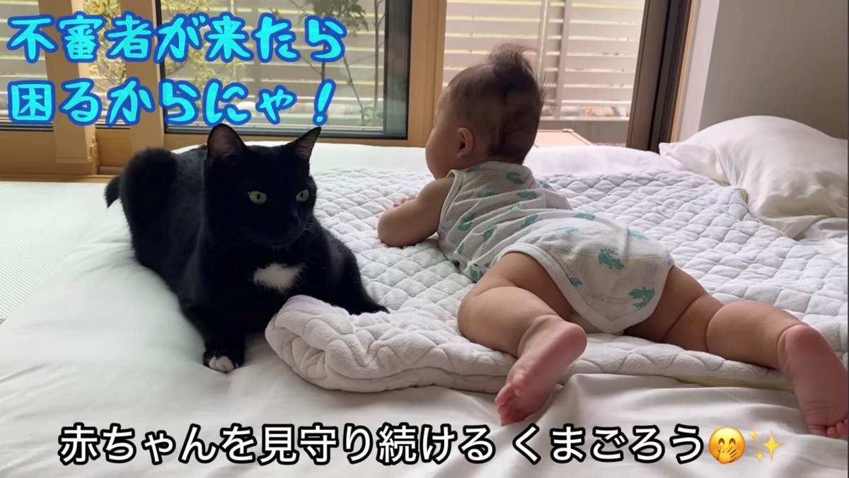 赤ちゃんの隣を陣取る猫