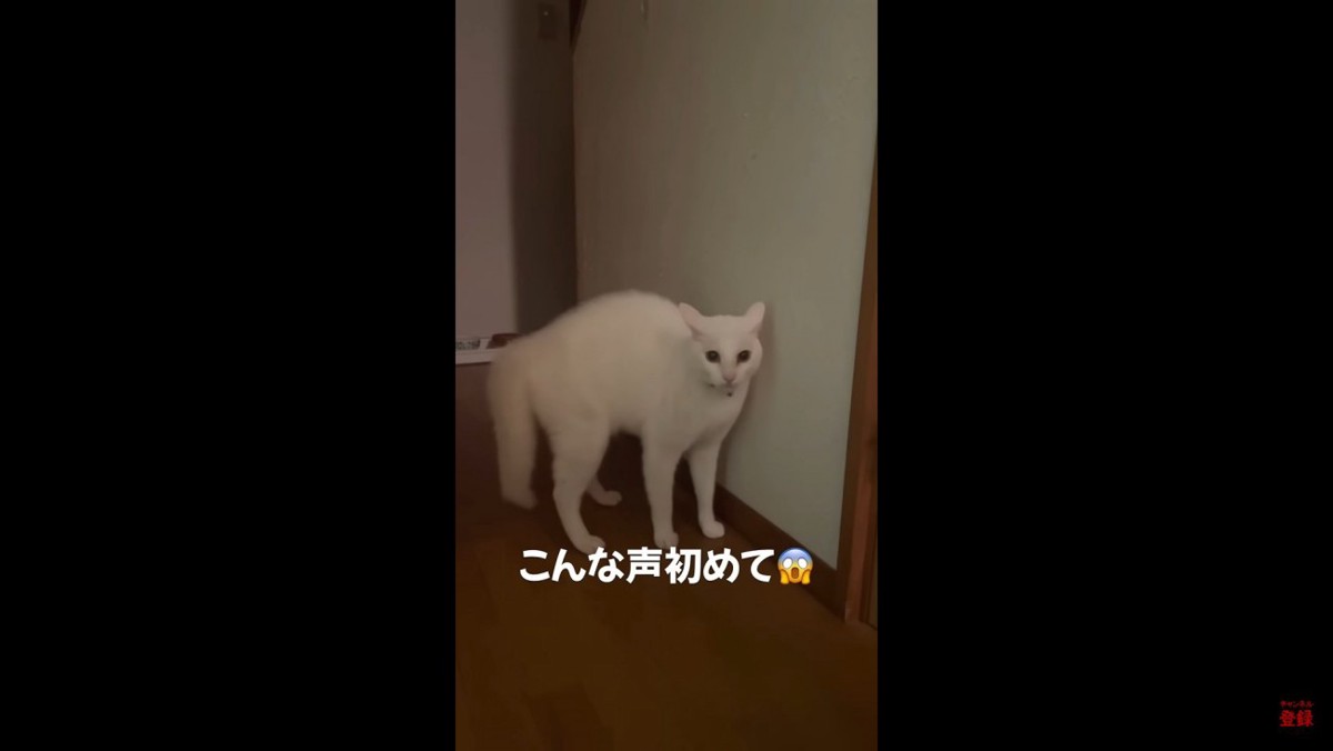 どうしたの？