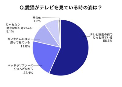 愛猫がテレビを見ている時の姿を教えてください