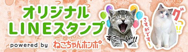 ねこちゃんホンポ オリジナルLINEスタンプ