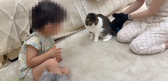 座る子ども、座る猫、手袋