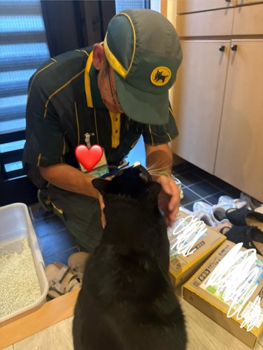 白黒猫とドライバー