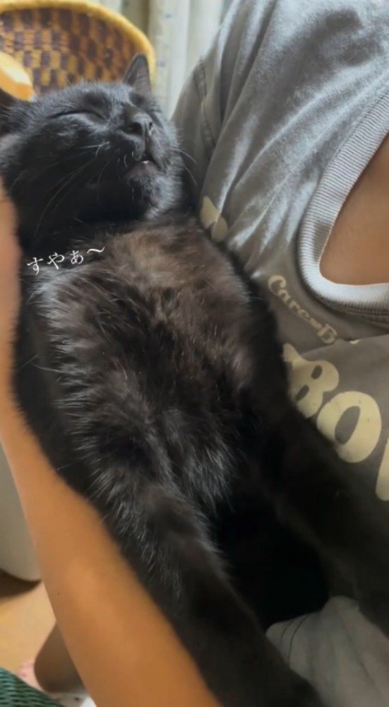 女の子に抱っこをされて脱力しながら眠る黒猫