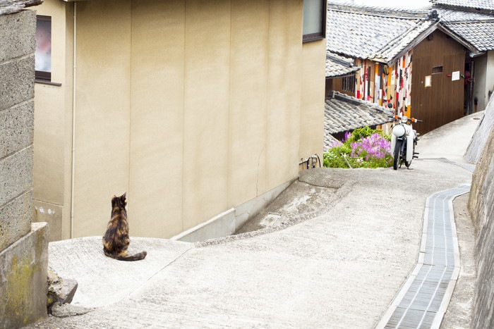 男木島の街並みの写真