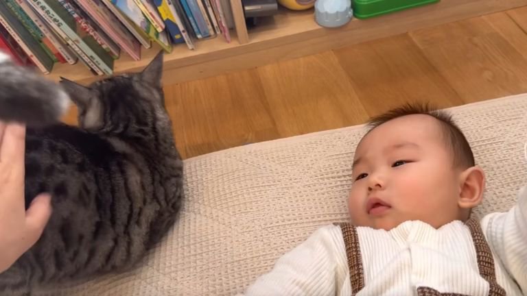 猫と赤ちゃん