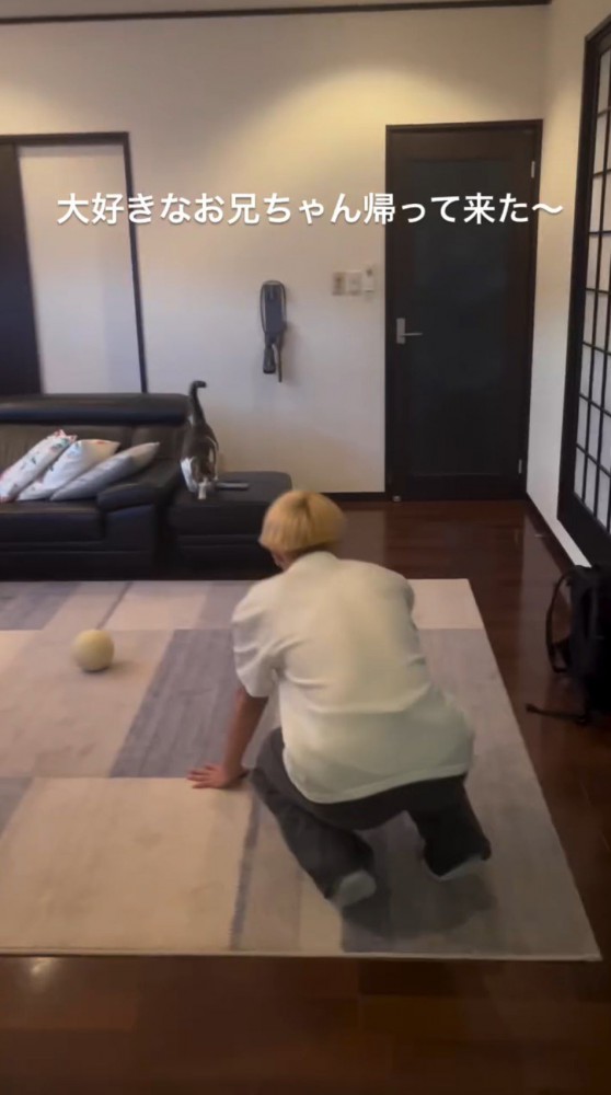 しゃがんで猫が寄ってくるのを待つ男性