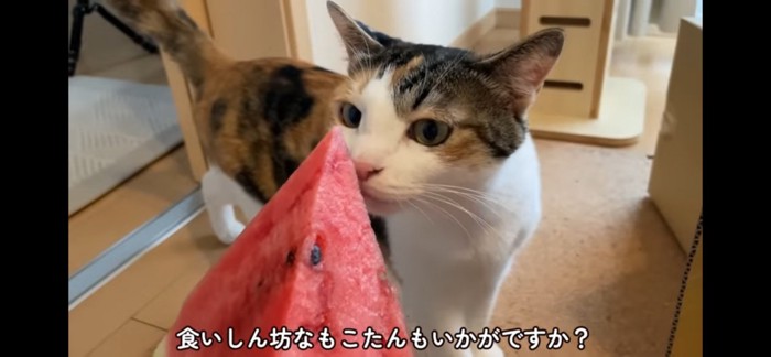 興味なし