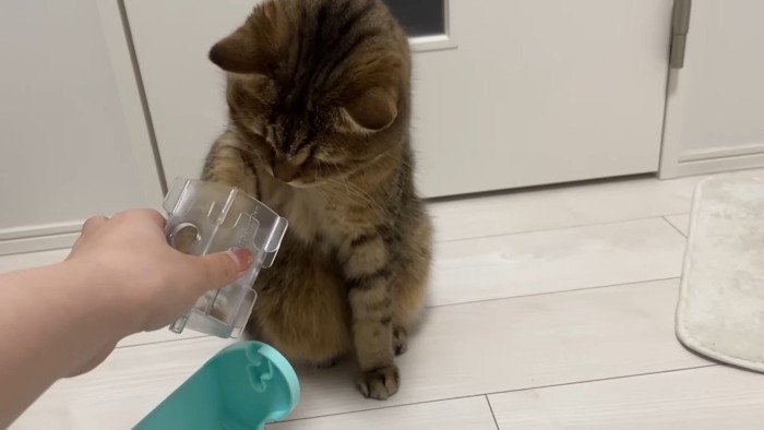 前足を突っ込んで