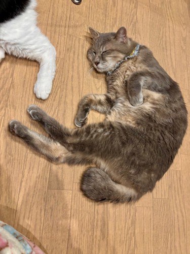 幸せそうな竜太郎くん