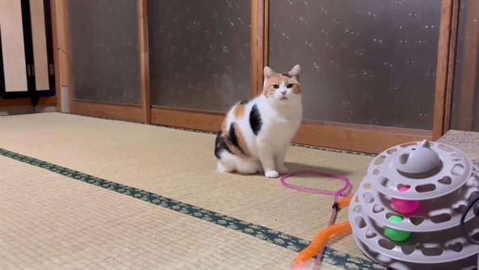 少し遠くから
