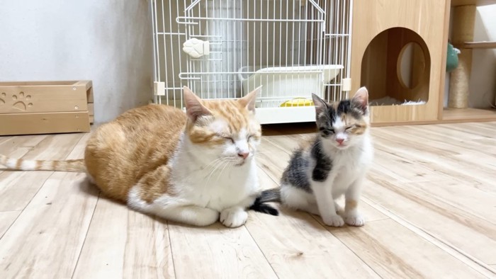 目を瞑るふたり