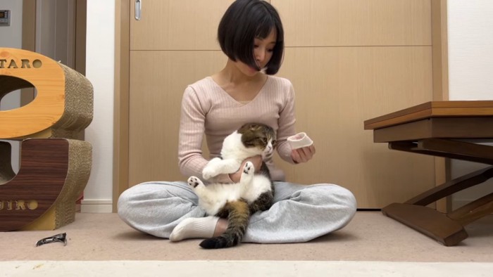 飼い主さんの手を見る猫