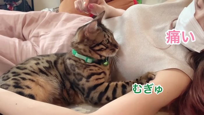 人の腕をふみふみする猫