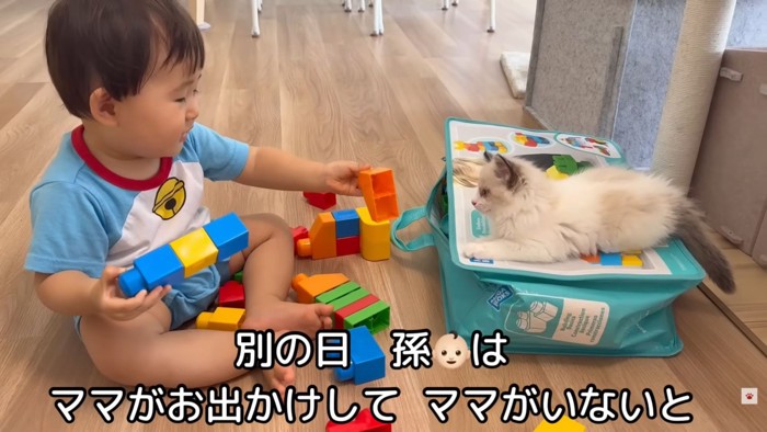 テロップ「別の日 孫は~」