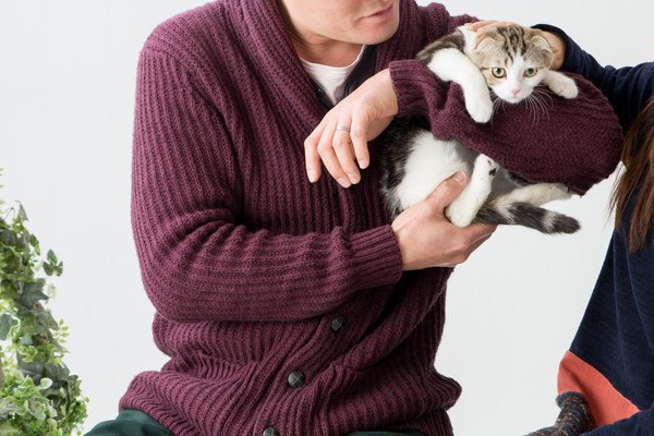 男性に抱っこされる猫